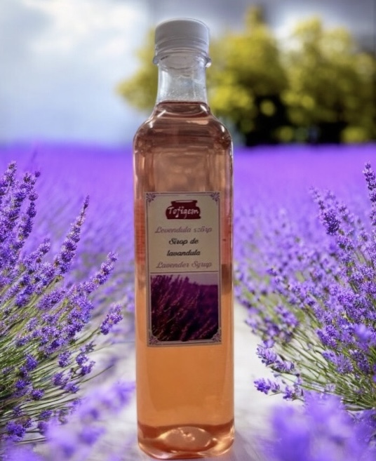 Photoroom_20250126_174317