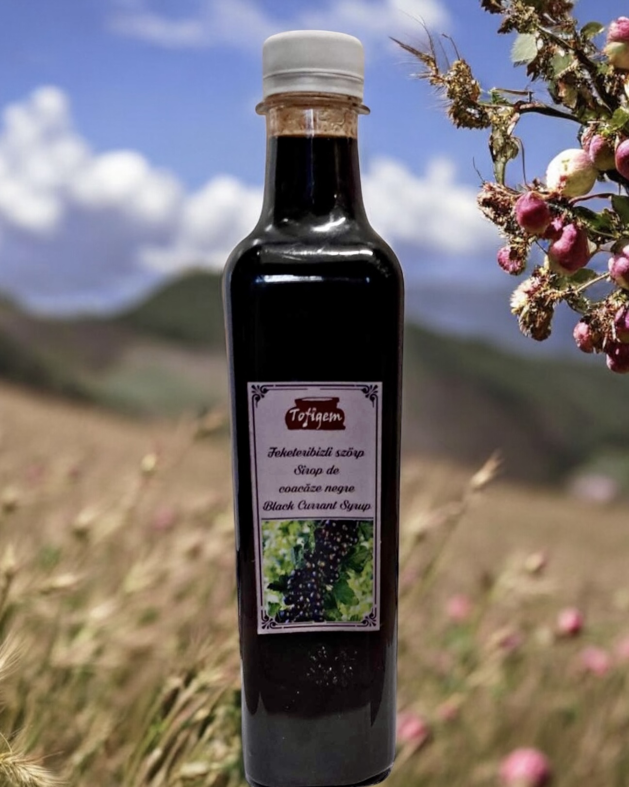 Photoroom_20250126_181105