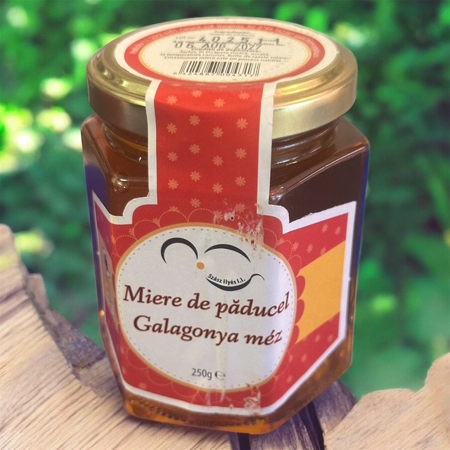 Photoroom_20251212_135937