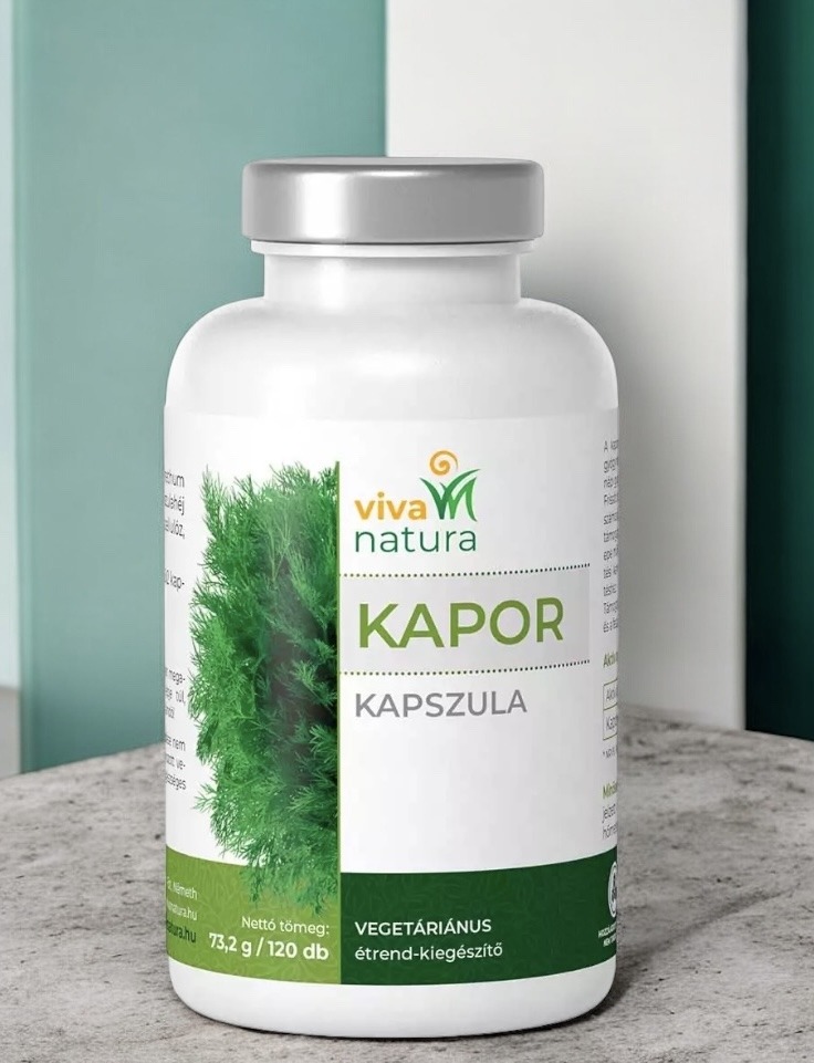 Photoroom_20251221_164457