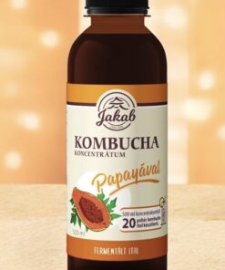 Viva-Natura Kombucha koncentrátum PAPAYÁVAL (500 ml)